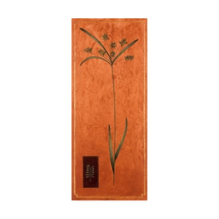 Pablo Esteban 'Ornamental Grass On Orange' Canvas Art,20x47